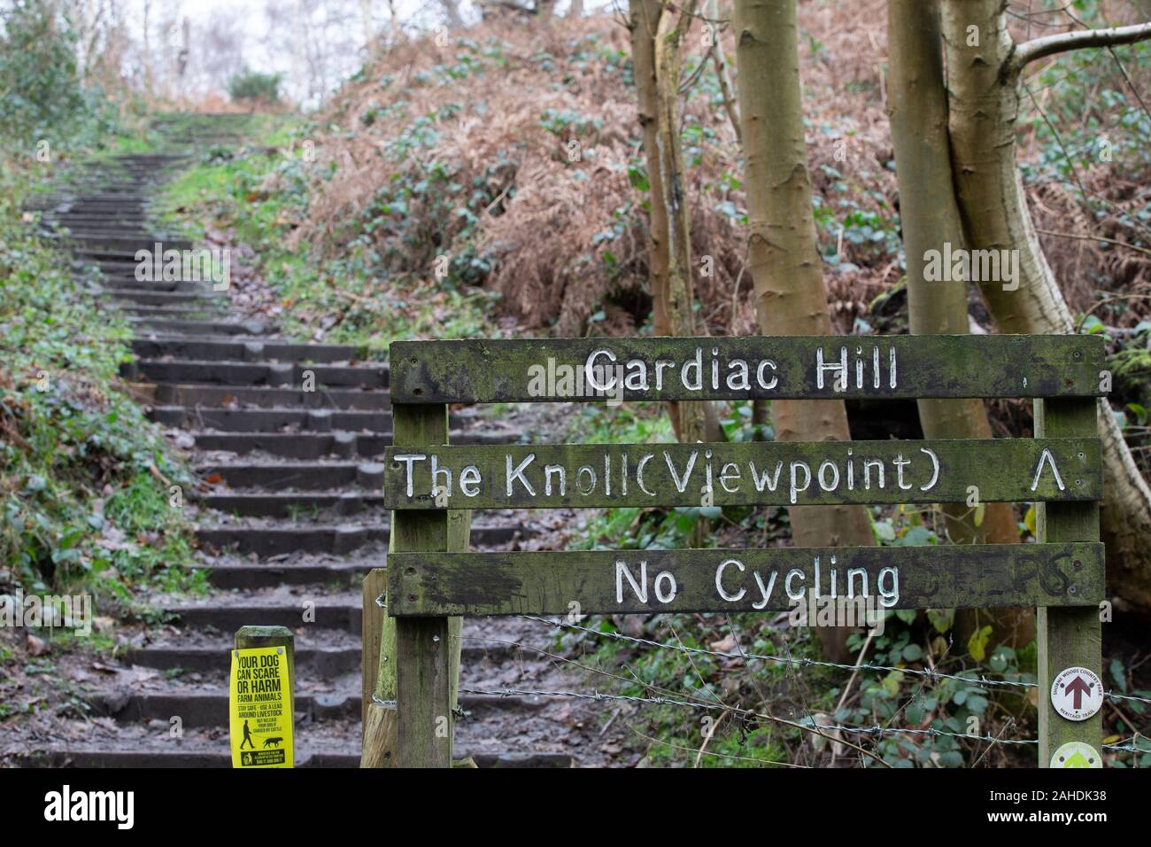 Cardiac Hill a Shorne Country Park nel Kent.UK. Passi conducono una ripida collina che è parte di una circolare a piedi al parco. Foto Stock
