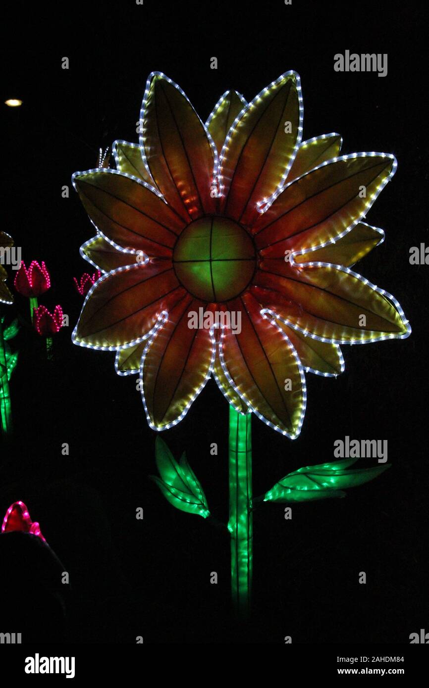China Light Festival in zoo Ouwehands. Paesi Bassi Foto Stock