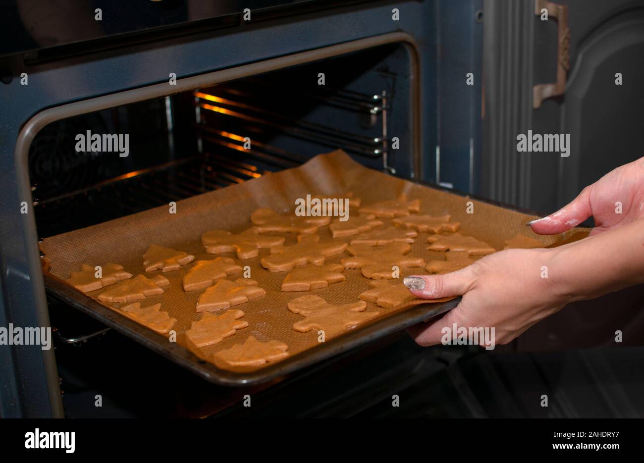 Mani femminili nel mettere la farina di biscotti di Natale nel forno. Uno dei passaggi nella realizzazione di gingerbread cookie Foto Stock