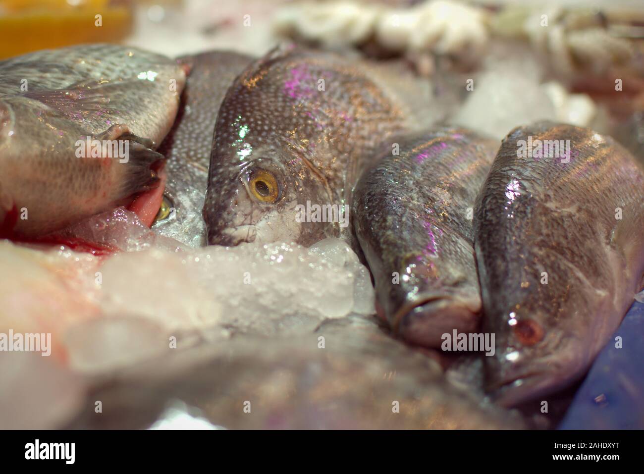 Pesce fresco su un mercato in stallo Phuket Thailandia. Dettaglio chiudere verso l'alto. Foto Stock