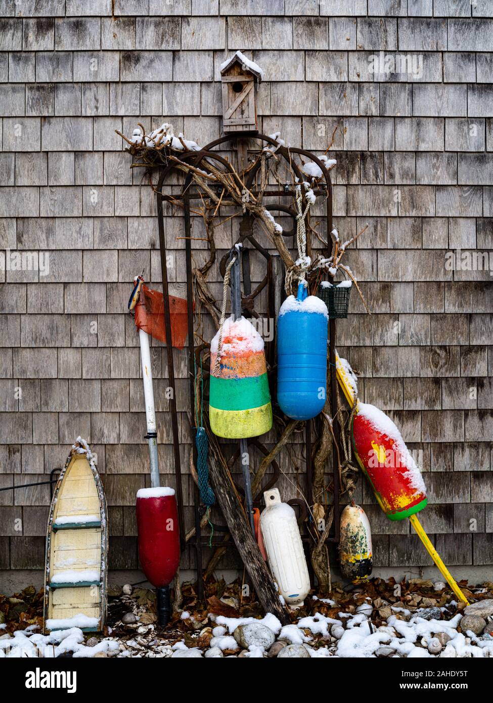 Boe e una Birdhouse magra contro una parete in inverno Foto Stock
