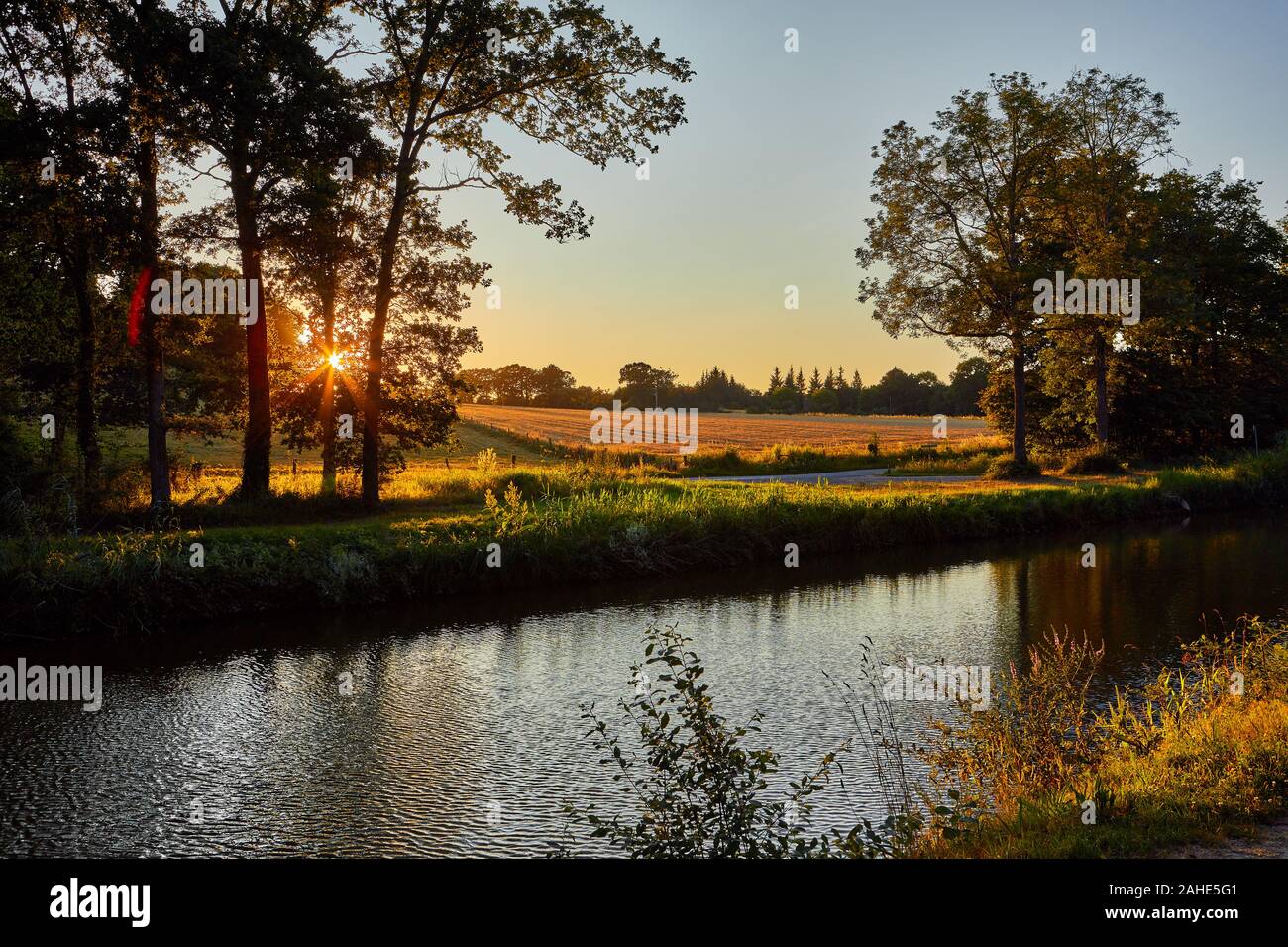 Immagine di un prato rurale con sole serale, alberi e canal Foto Stock