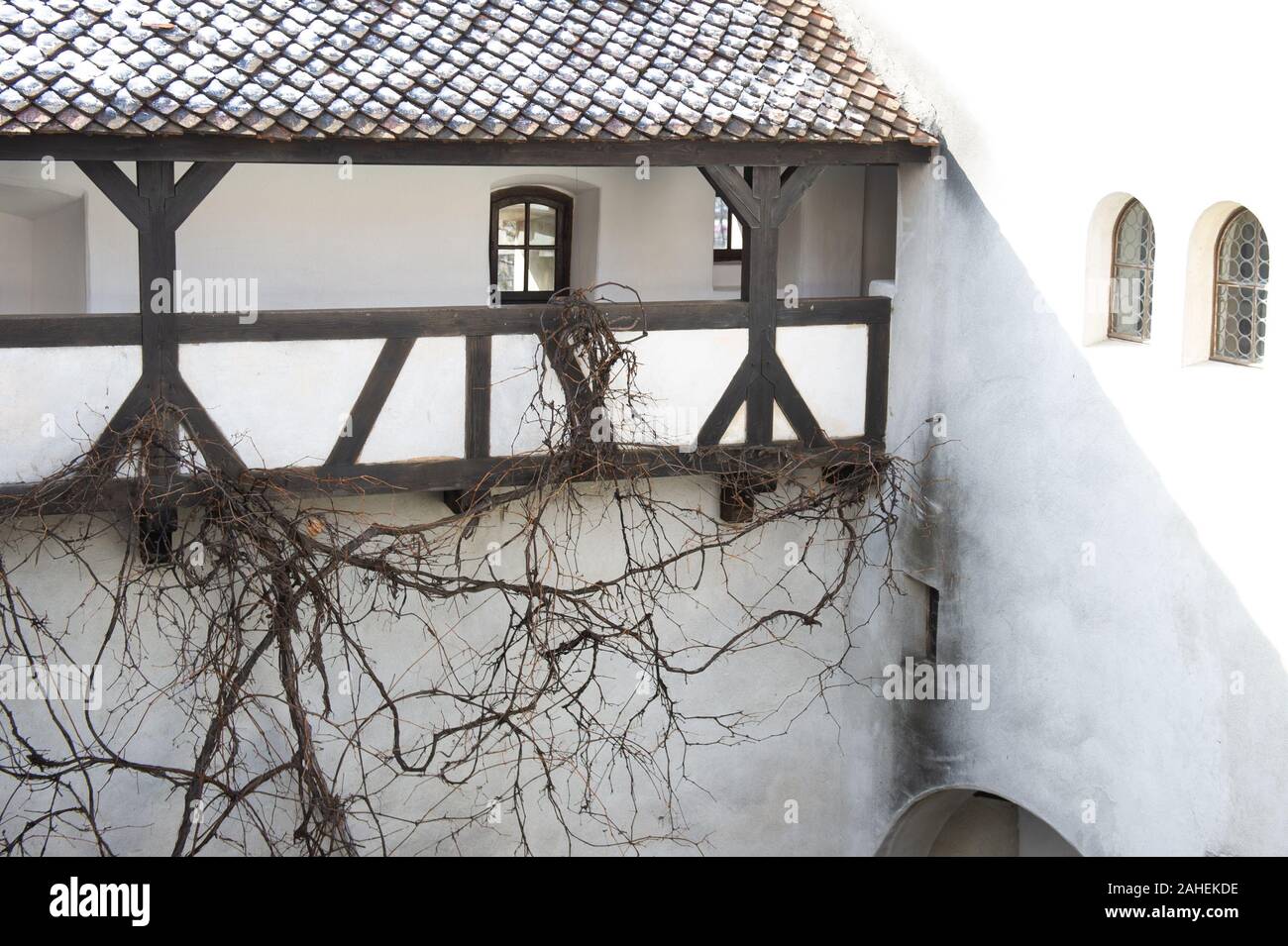 Castello di Bran, vicino a Brasov, Romania, è una popolare destinazione turistica e segnalati erroneamente ad essere fonte di ispirazione per Bram Stoker's castello di Dracula. Foto Stock