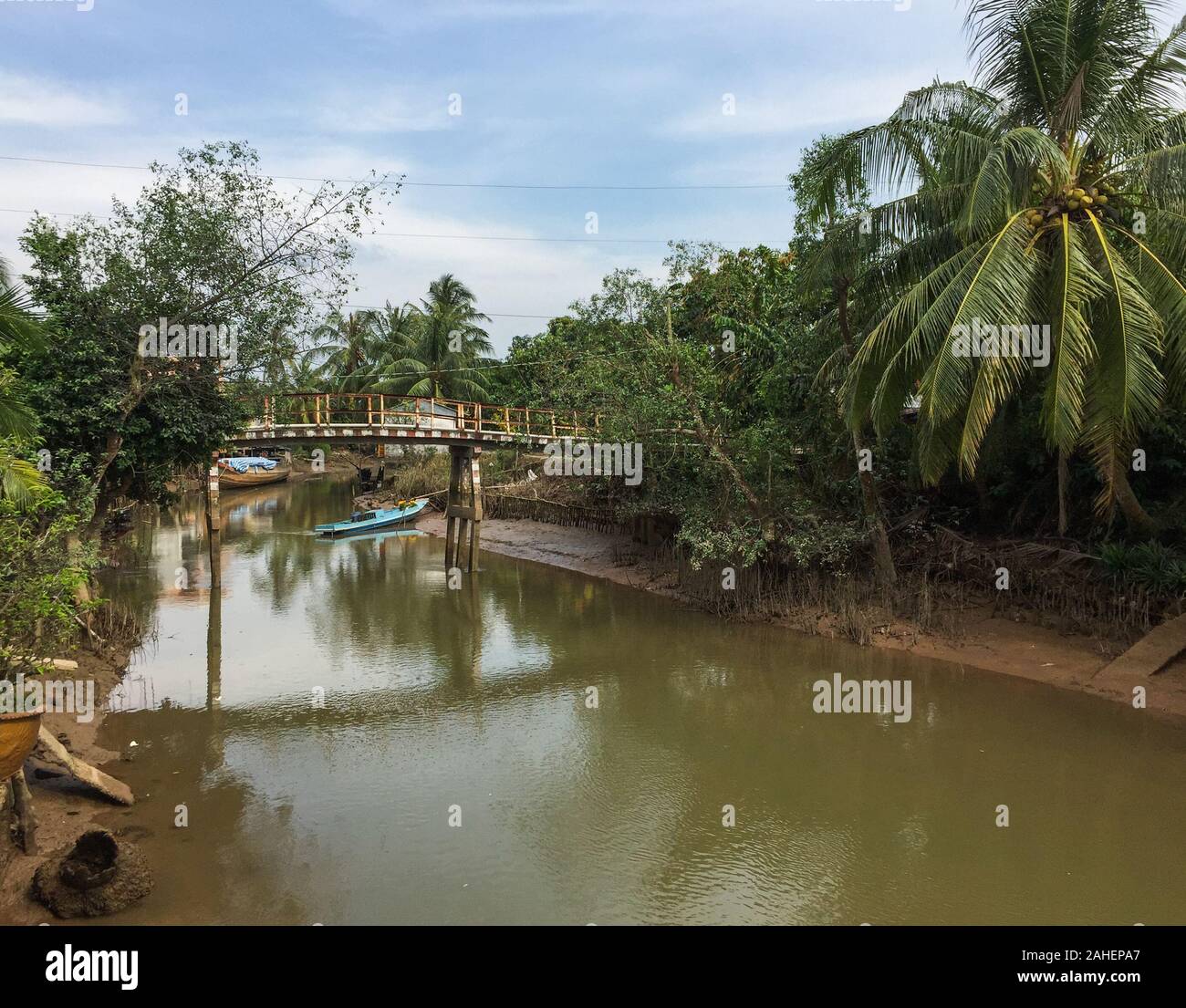 Vista del fiume Mekong in Tien Giang, Vietnam. Il bacino del Mekong è una delle aree più ricche di biodiversità nel mondo. Foto Stock