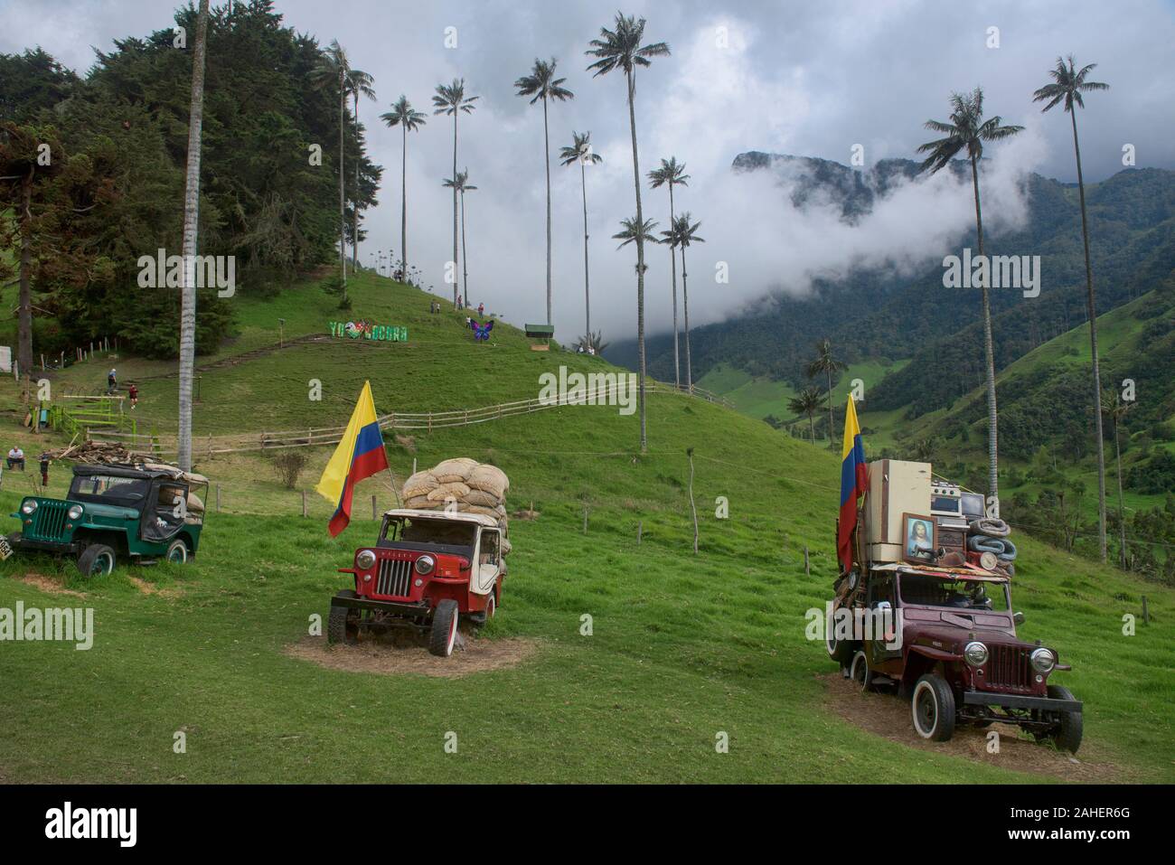 Vintage Willy jeep sotto le palme di cera, Cocora Valley, il Salento, Colombia Foto Stock