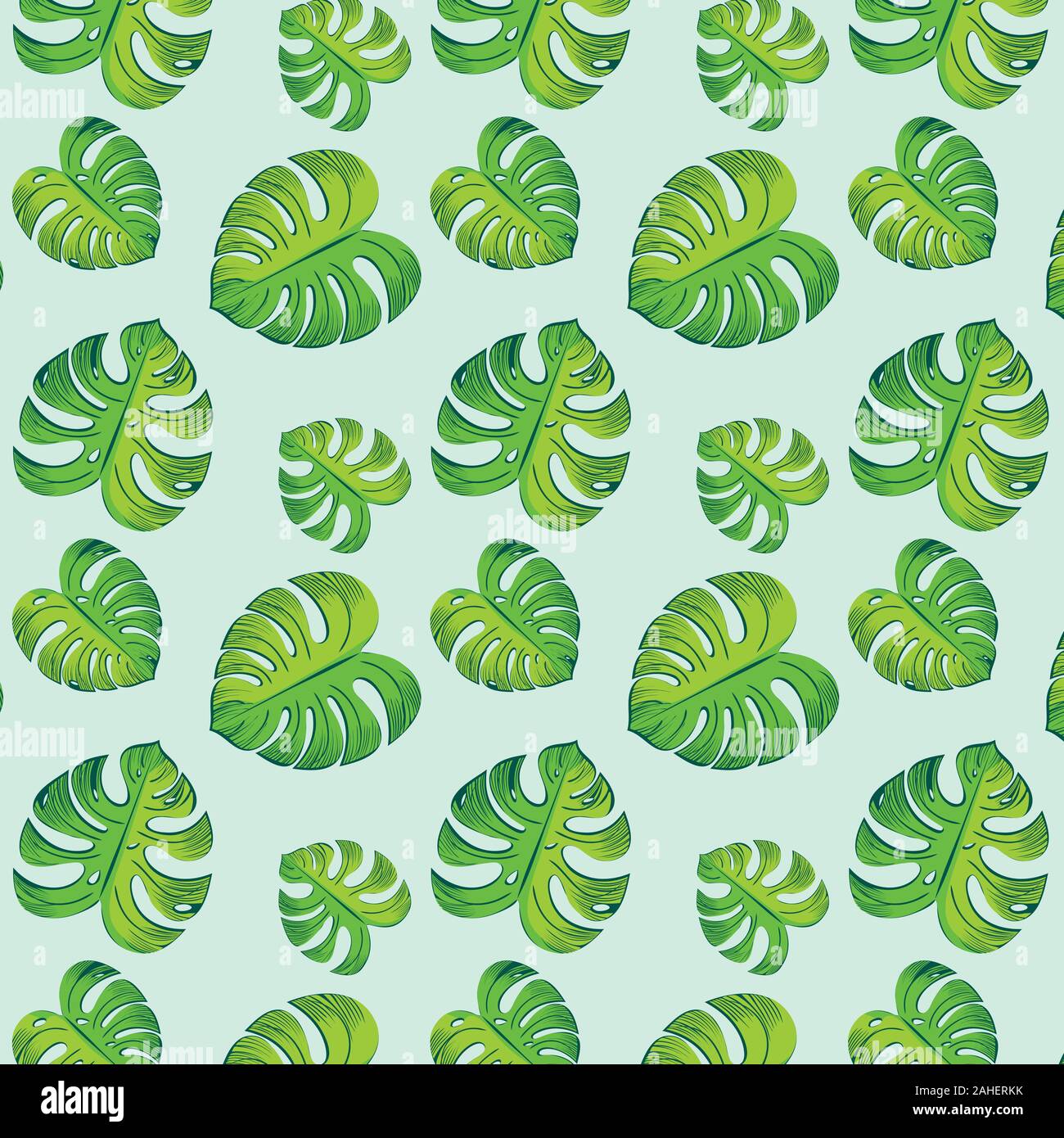 Esotiche piante design, grandi foglie di monstera illustrazione. Illustrazione Vettoriale