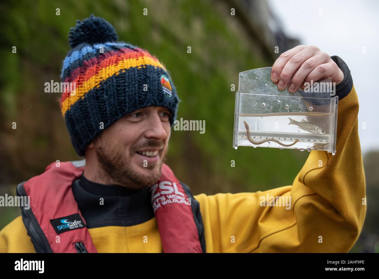 Thames Water pesce indagine effettuata dalla Società Zoologica di Londra (ZSL) nell'estuario del Tamigi vicino a Greenwich, a sud-est di Londra, Regno Unito Foto Stock