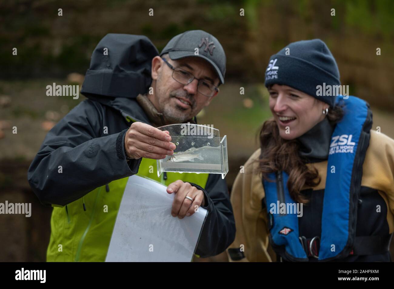 Thames Water pesce indagine effettuata dalla Società Zoologica di Londra (ZSL) nell'estuario del Tamigi vicino a Greenwich, a sud-est di Londra, Regno Unito Foto Stock