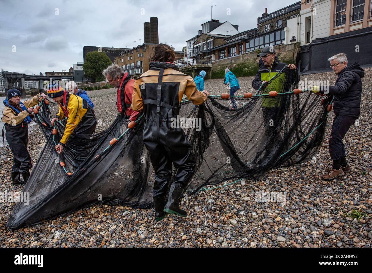 Thames Water pesce indagine effettuata dalla Società Zoologica di Londra (ZSL) nell'estuario del Tamigi vicino a Greenwich, a sud-est di Londra, Regno Unito Foto Stock