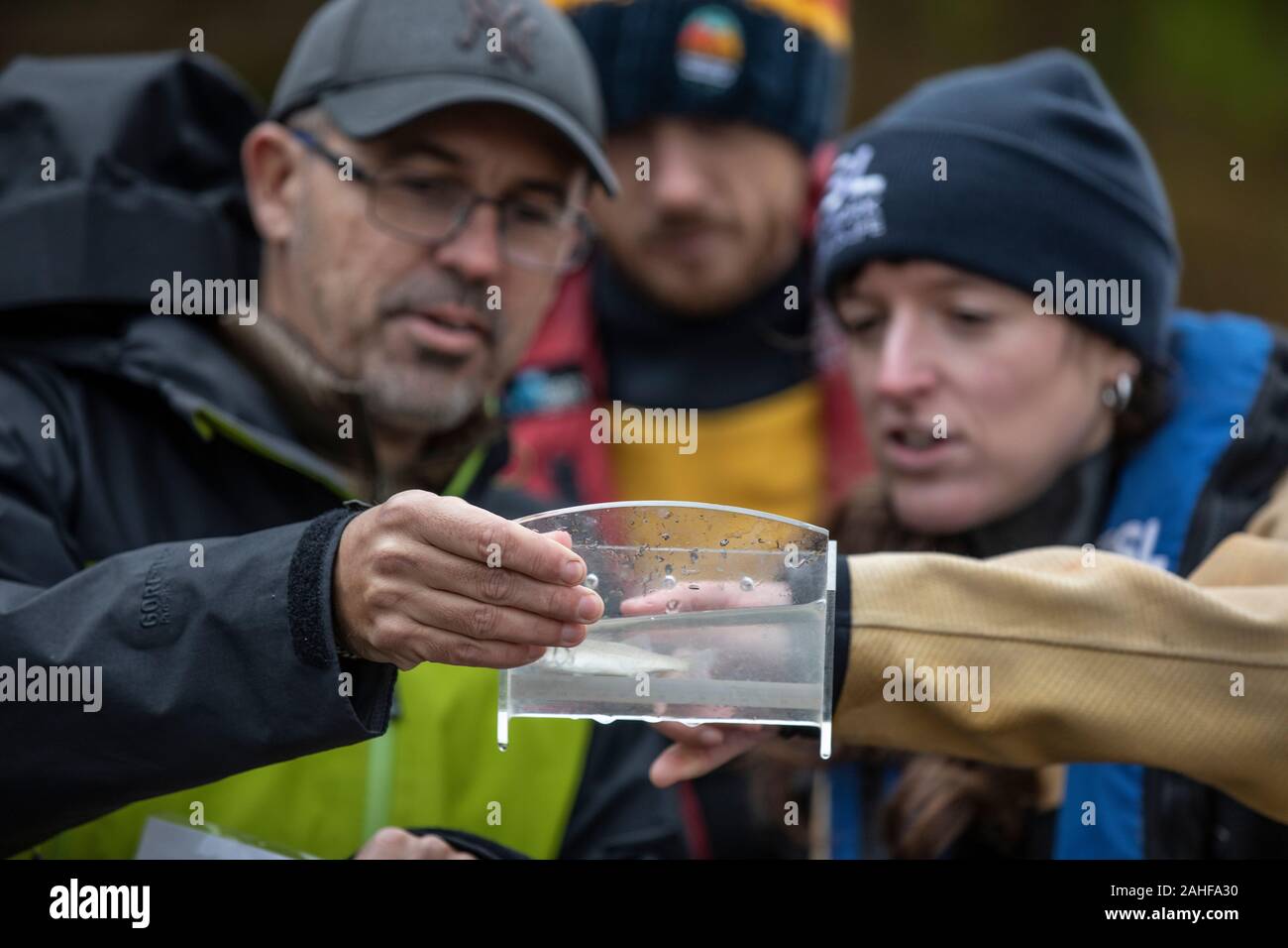 Thames Water pesce indagine effettuata dalla Società Zoologica di Londra (ZSL) nell'estuario del Tamigi vicino a Greenwich, a sud-est di Londra, Regno Unito Foto Stock