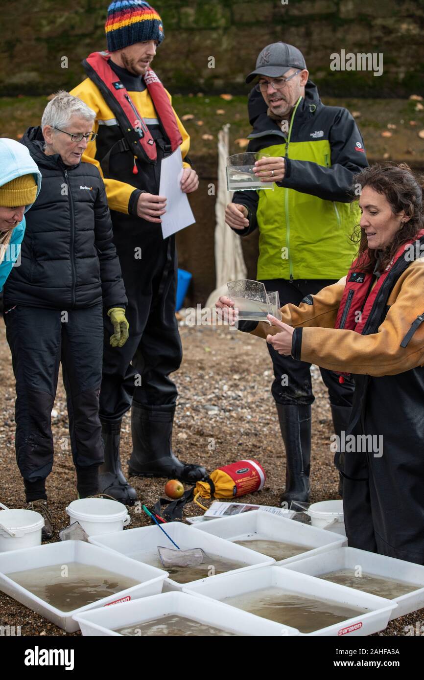 Thames Water pesce indagine effettuata dalla Società Zoologica di Londra (ZSL) nell'estuario del Tamigi vicino a Greenwich, a sud-est di Londra, Regno Unito Foto Stock