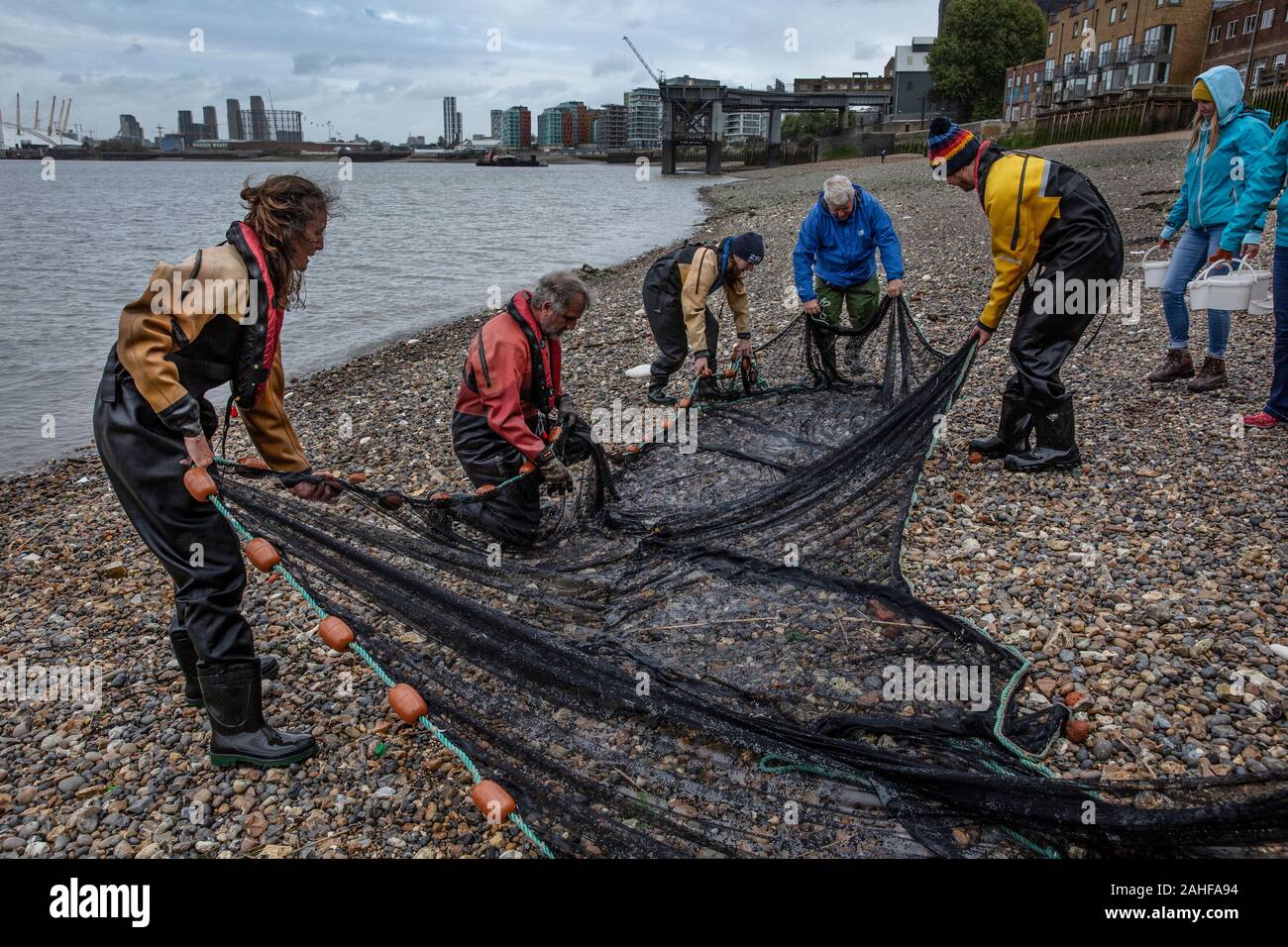 Thames Water pesce indagine effettuata dalla Società Zoologica di Londra (ZSL) nell'estuario del Tamigi vicino a Greenwich, a sud-est di Londra, Regno Unito Foto Stock