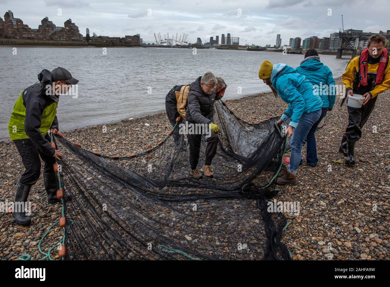 Thames Water pesce indagine effettuata dalla Società Zoologica di Londra (ZSL) nell'estuario del Tamigi vicino a Greenwich, a sud-est di Londra, Regno Unito Foto Stock