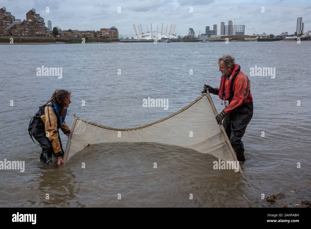 Thames Water pesce indagine effettuata dalla Società Zoologica di Londra (ZSL) nell'estuario del Tamigi vicino a Greenwich, a sud-est di Londra, Regno Unito Foto Stock