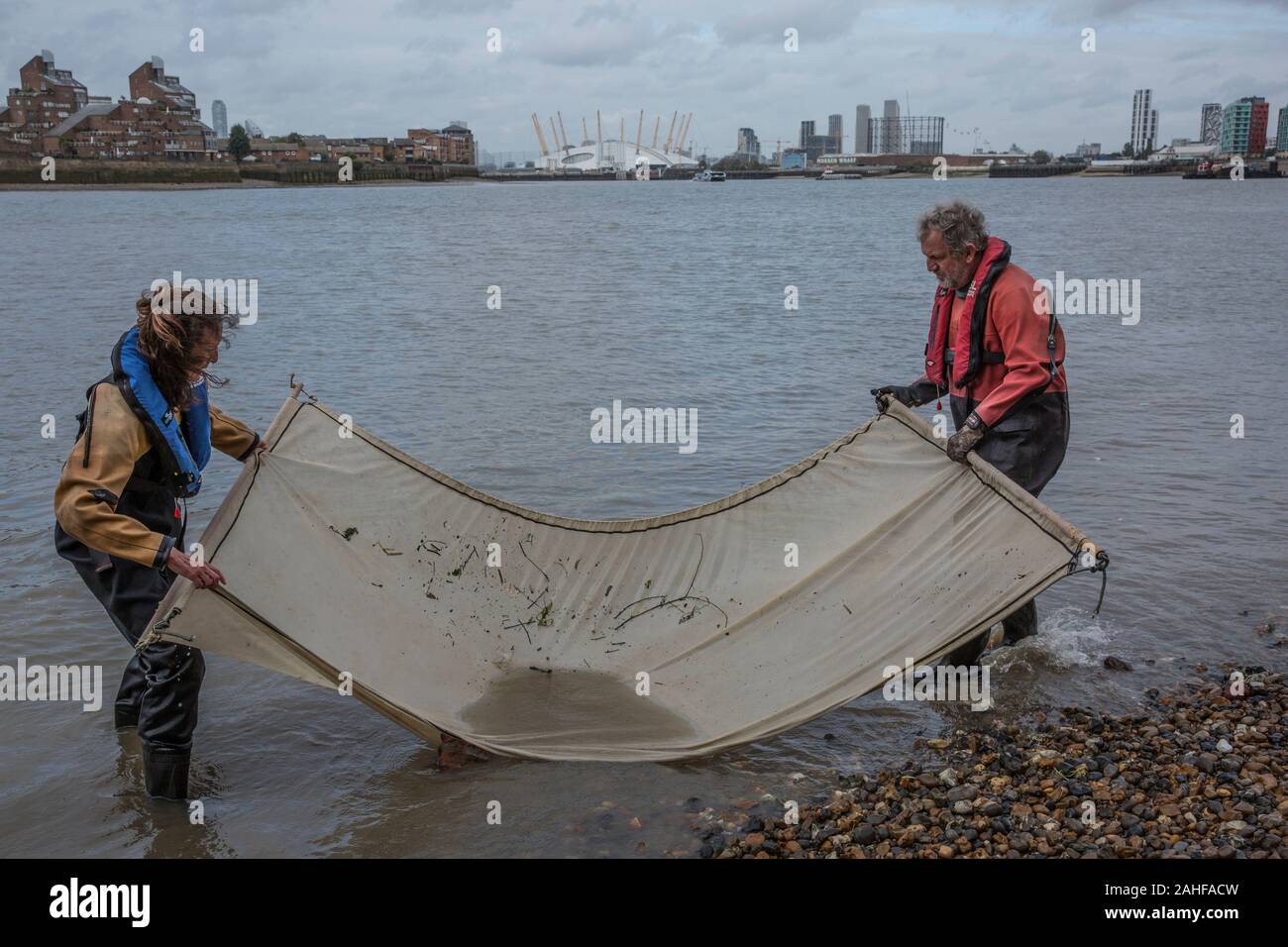Thames Water pesce indagine effettuata dalla Società Zoologica di Londra (ZSL) nell'estuario del Tamigi vicino a Greenwich, a sud-est di Londra, Regno Unito Foto Stock
