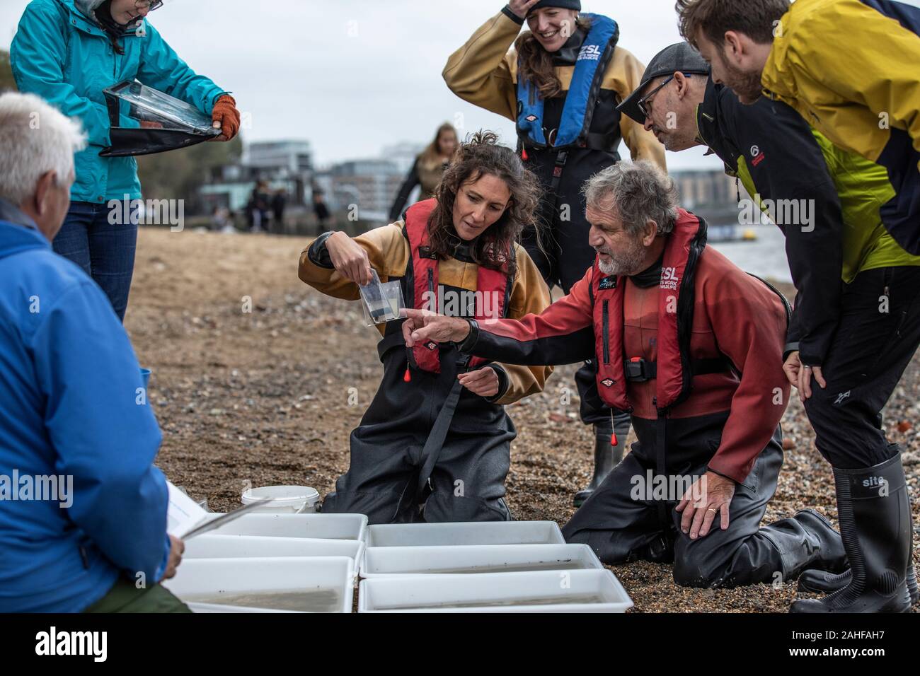 Thames Water pesce indagine effettuata dalla Società Zoologica di Londra (ZSL) nell'estuario del Tamigi vicino a Greenwich, a sud-est di Londra, Regno Unito Foto Stock