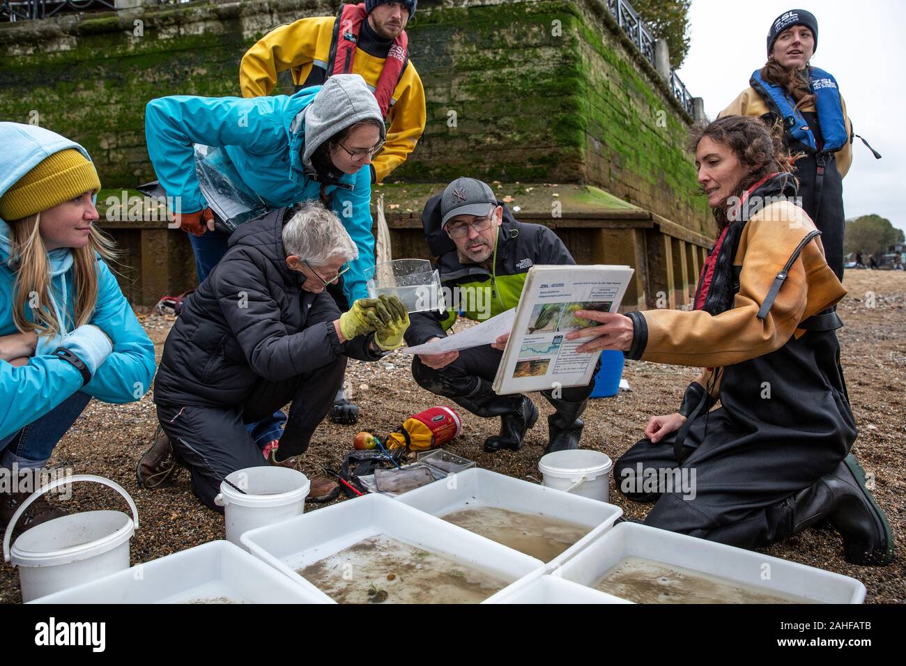 Thames Water pesce indagine effettuata dalla Società Zoologica di Londra (ZSL) nell'estuario del Tamigi vicino a Greenwich, a sud-est di Londra, Regno Unito Foto Stock