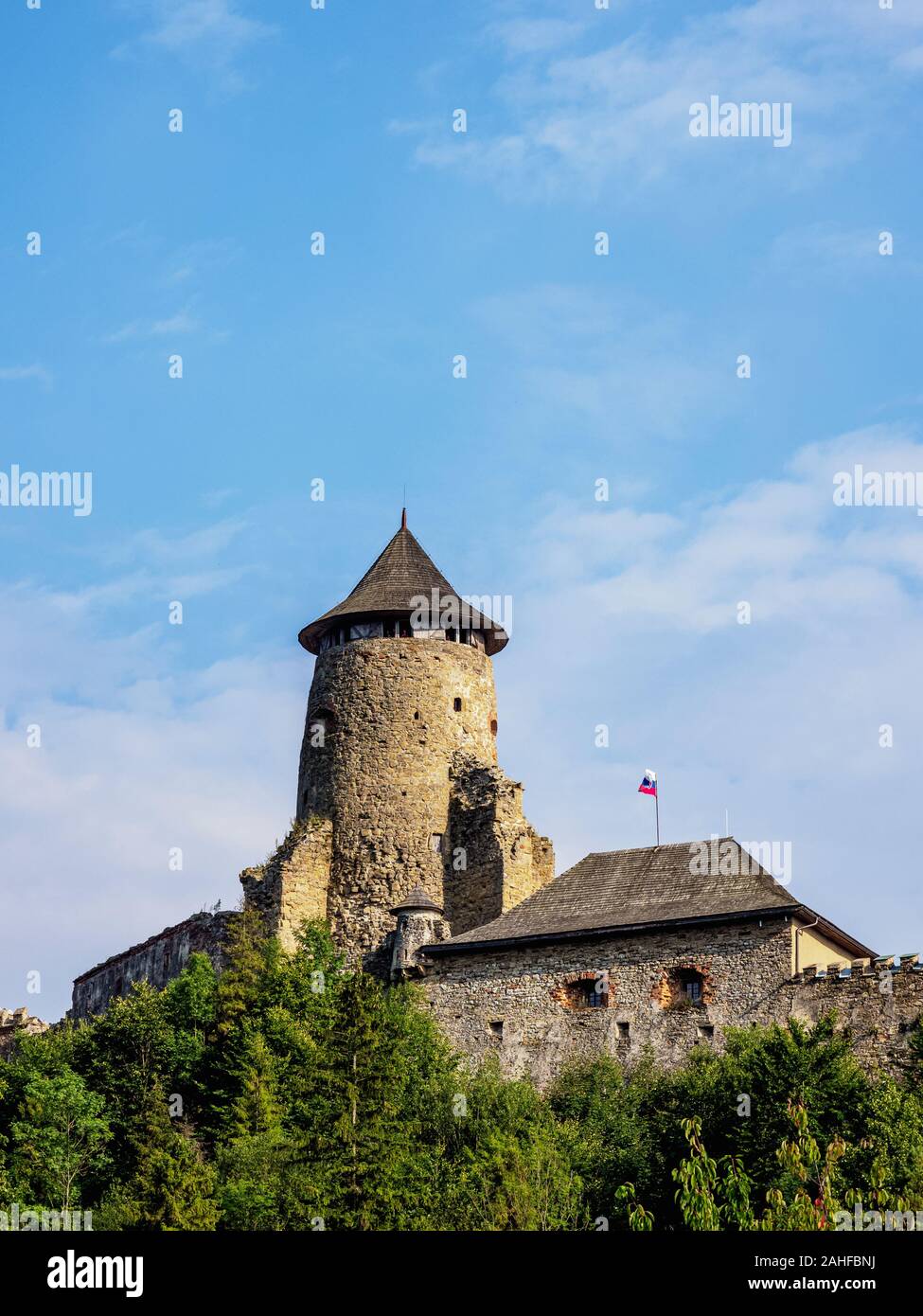 Il castello di Stara Lubovna, Regione di Presov, Slovacchia Foto Stock