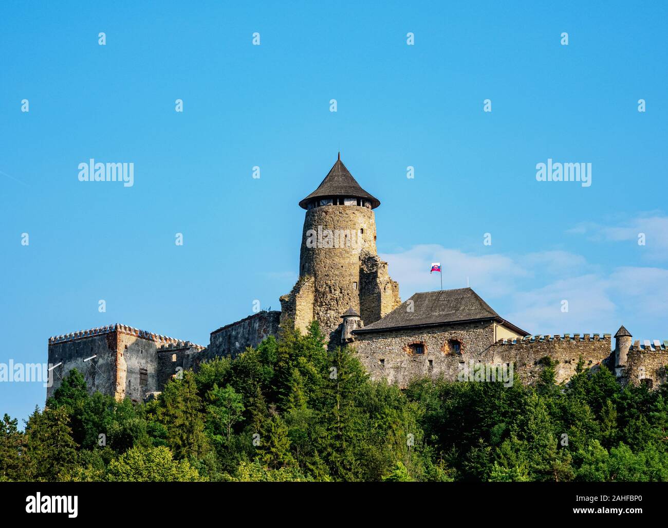 Il castello di Stara Lubovna, Regione di Presov, Slovacchia Foto Stock