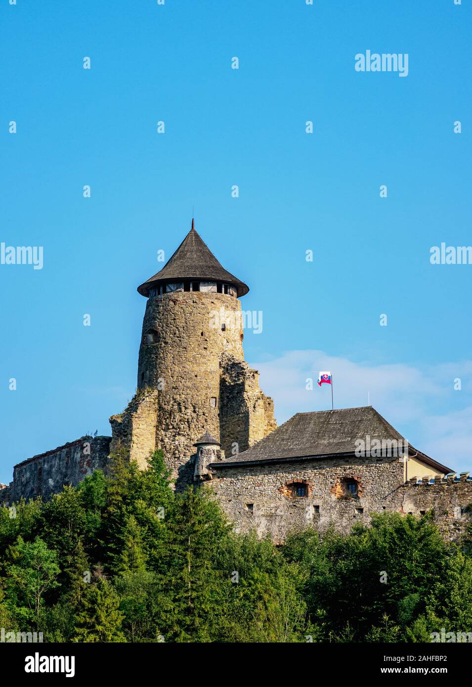 Il castello di Stara Lubovna, Regione di Presov, Slovacchia Foto Stock