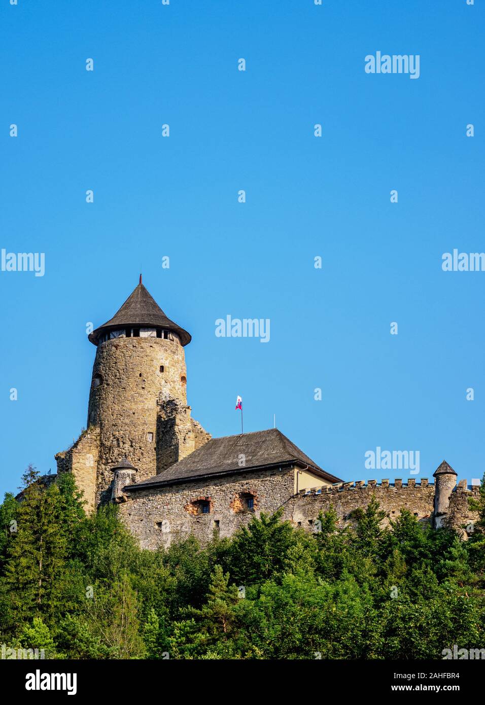 Il castello di Stara Lubovna, Regione di Presov, Slovacchia Foto Stock
