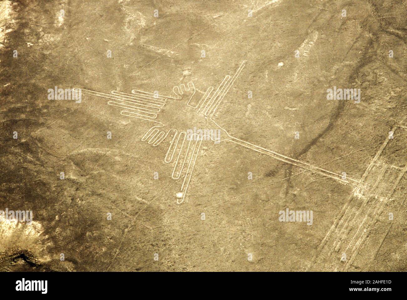 Vista aerea di un colibrì forma. Le linee di Nazca sono un gruppo molto grandi geoglifi formata da avvallamenti o poco profonde incisioni praticate nel suolo di Foto Stock