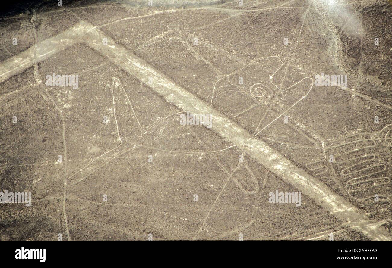 Vista aerea della balena forma. Le linee di Nazca sono un gruppo molto grandi geoglifi formata da avvallamenti o poco profonde incisioni praticate nel terreno del Foto Stock