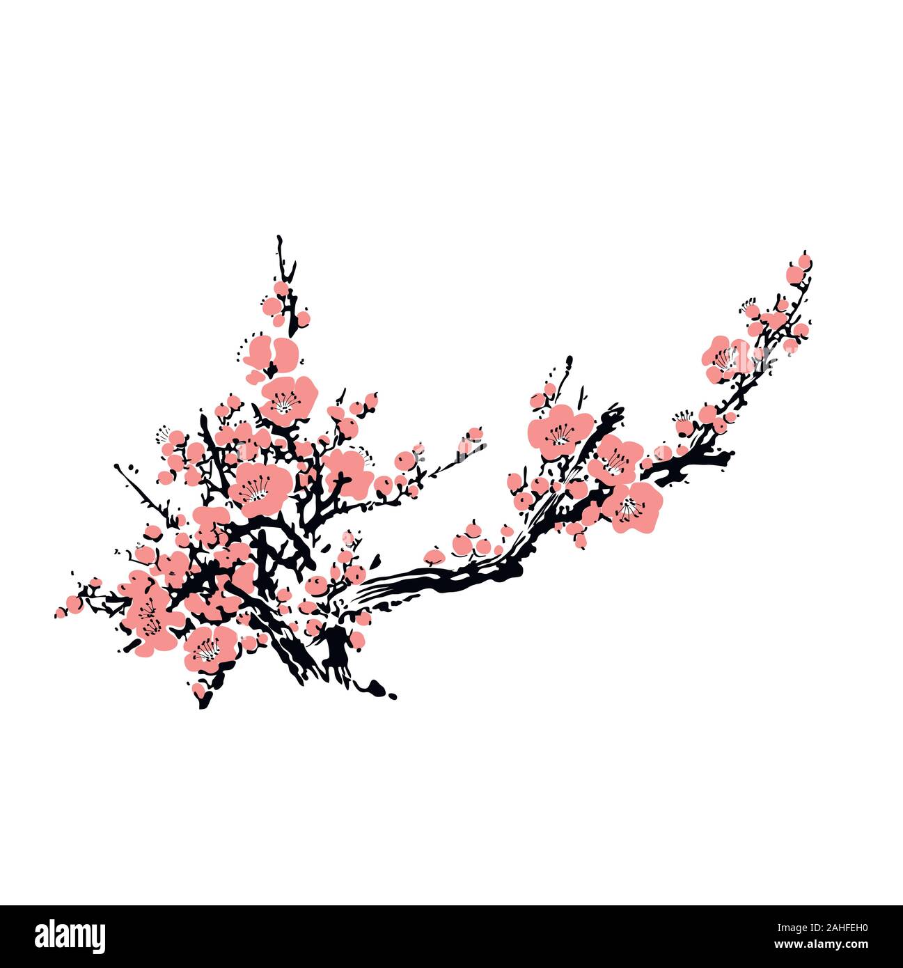 Fiore di Ciliegio modello di evento con disegnati a mano con ramo di rosa fiori  di