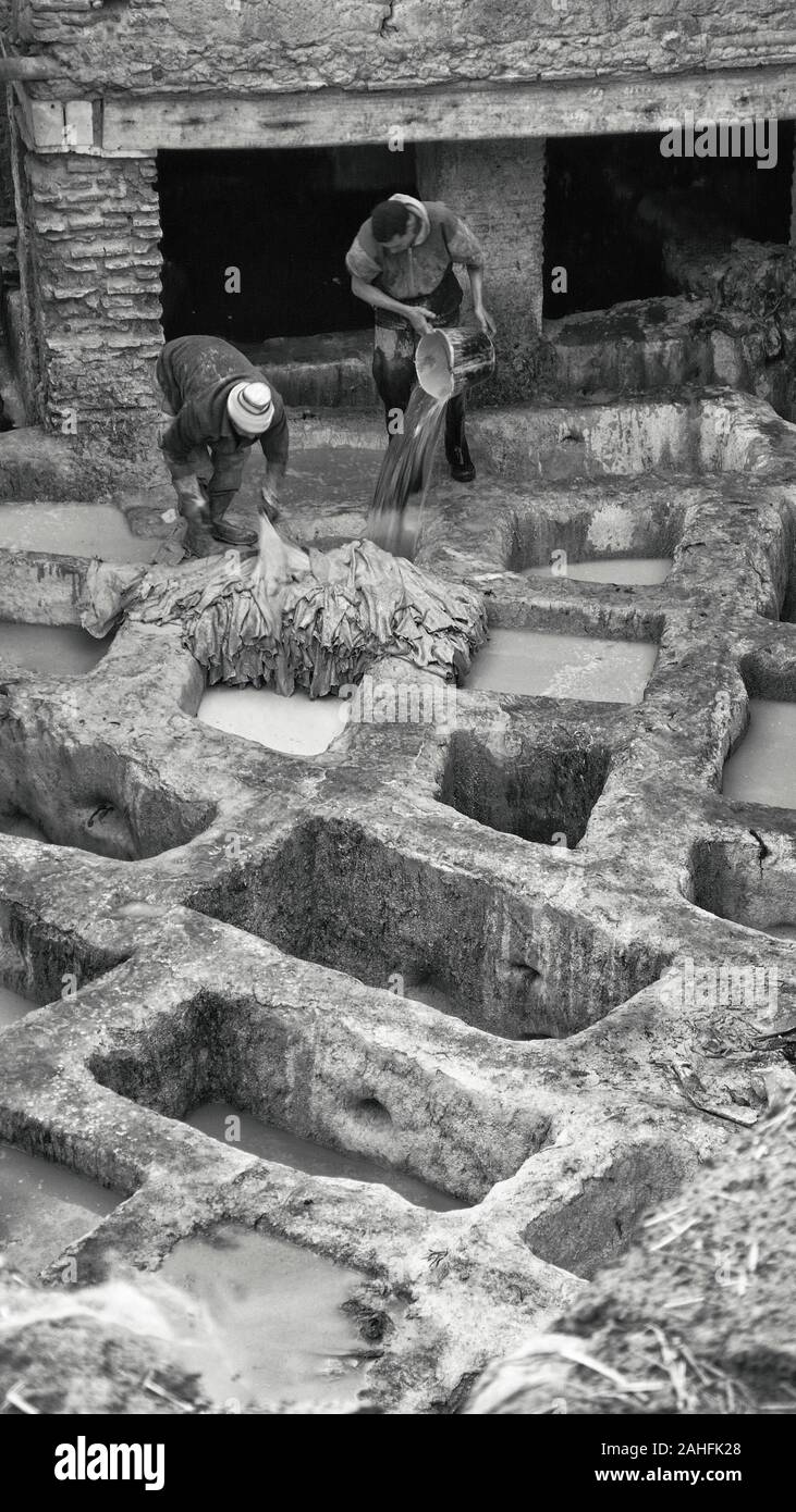 La conceria di Fez, Marocco Foto Stock