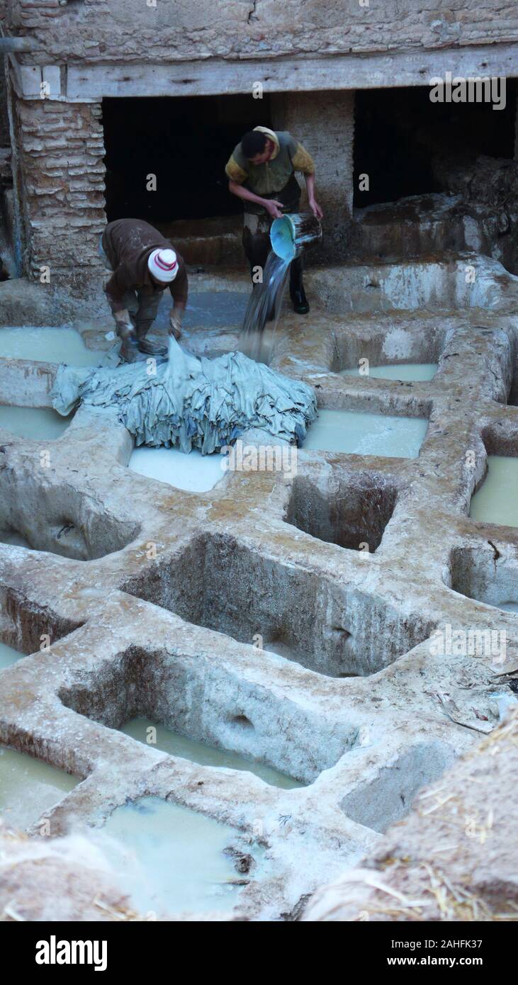 La conceria di Fez, Marocco Foto Stock