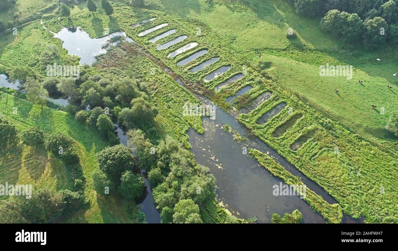 Stagni abbandonati (allevamento ittico) a Vejle Å (fiume Vejle) in Danimarca, estate 2019 Foto Stock