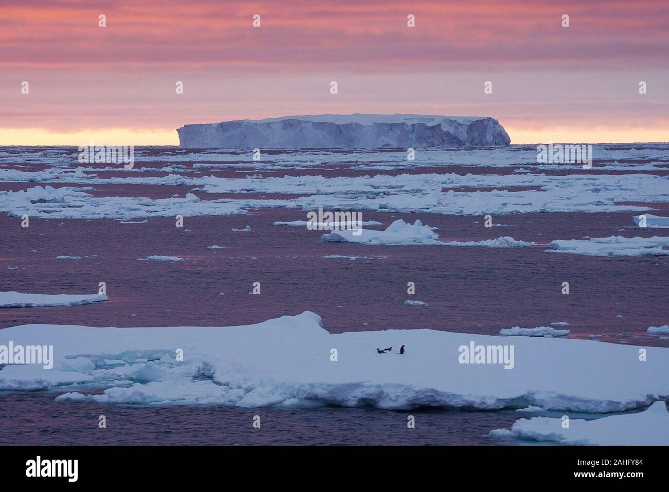A bordo Xuelong 2. 29 Dic, 2019. Foto scattata a Dic. 18, 2019 mostra un iceberg nel mare cosmonauta. Durante la Cina del 36th spedizione in Antartide, Cina il primo sul mercato interno effettuate rompighiaccio polare Xuelong 2 ha per superare varie difficoltà tra cui scontrarsi con gli iceberg. Credito: Liu di spedizione/Xinhua/Alamy Live News Foto Stock