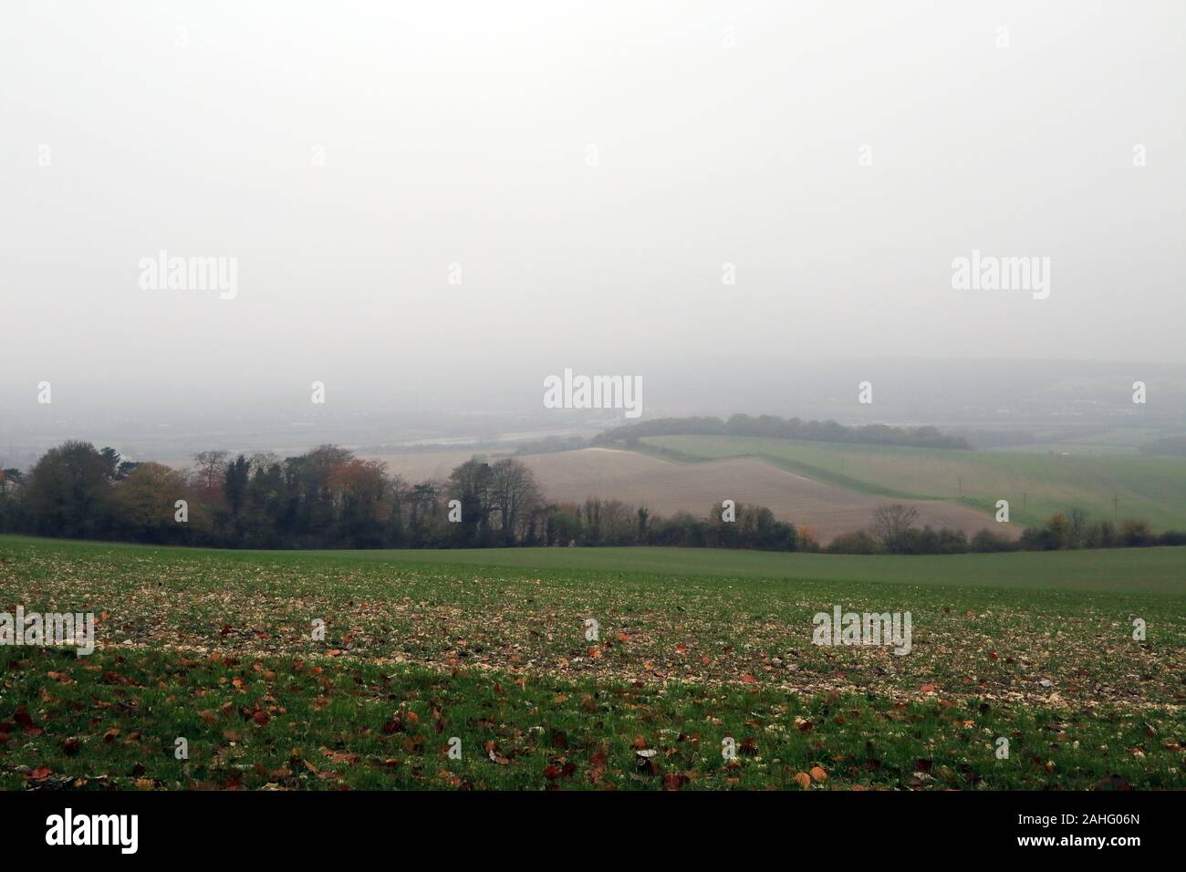 Vista sulla valle di Medway da North Downs a Wouldham vicino a Rochester a Kent, Inghilterra Foto Stock