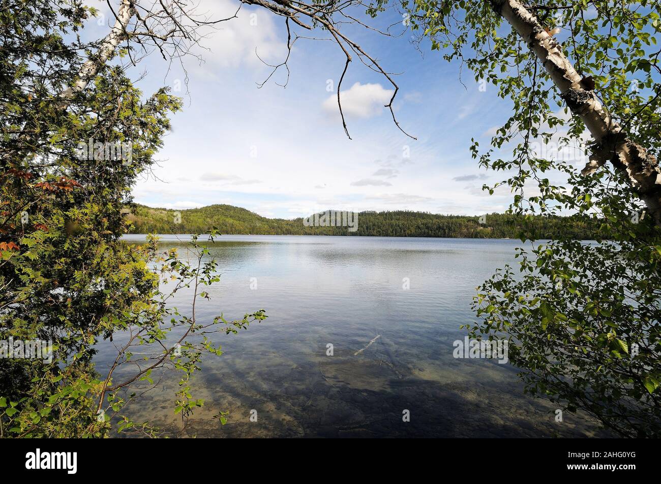 Splendido scenario della stagione estiva che mostra bleu cielo, nuvole, acqua, lago, alberi e un arco di alberi in estate. Foto Stock