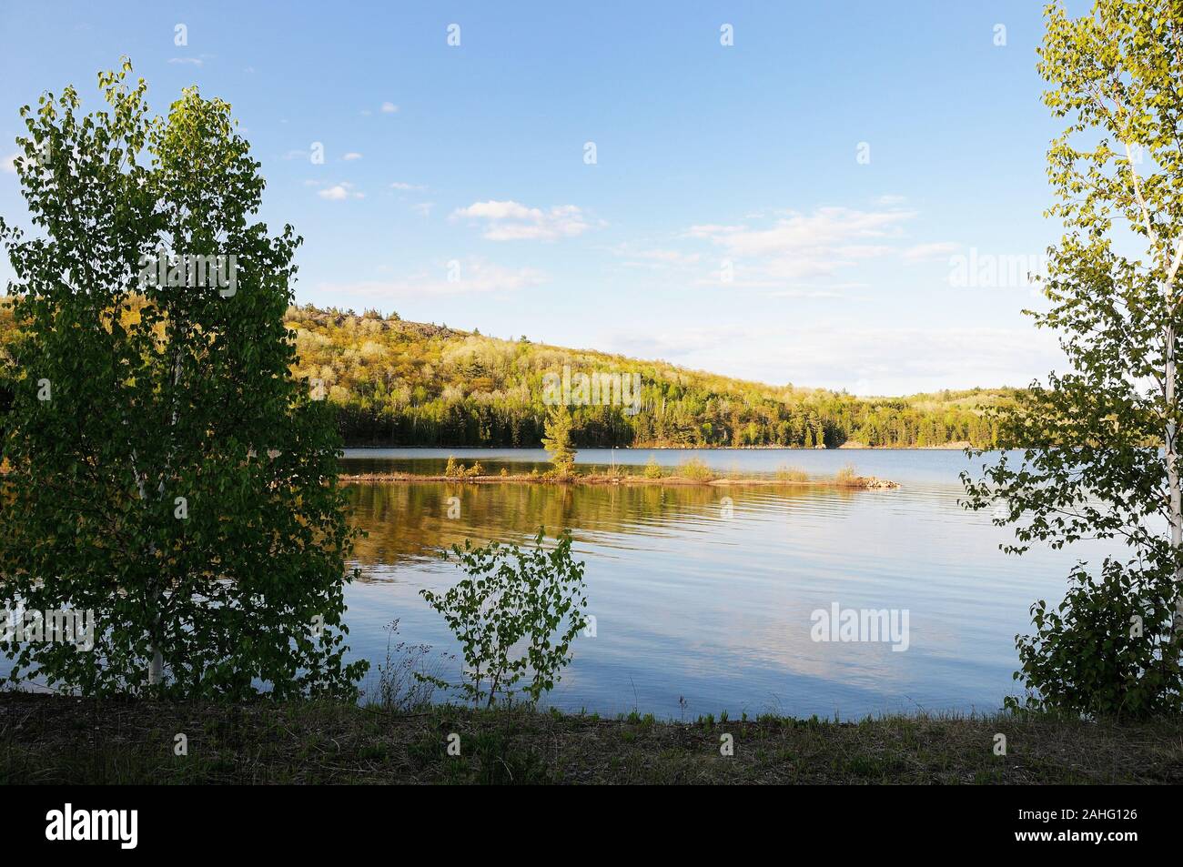 Lo splendido paesaggio paesaggio della stagione estiva che mostra bleu sky, buffy nuvole, acqua, alberi con una sensazione di tranquillità. Foto Stock