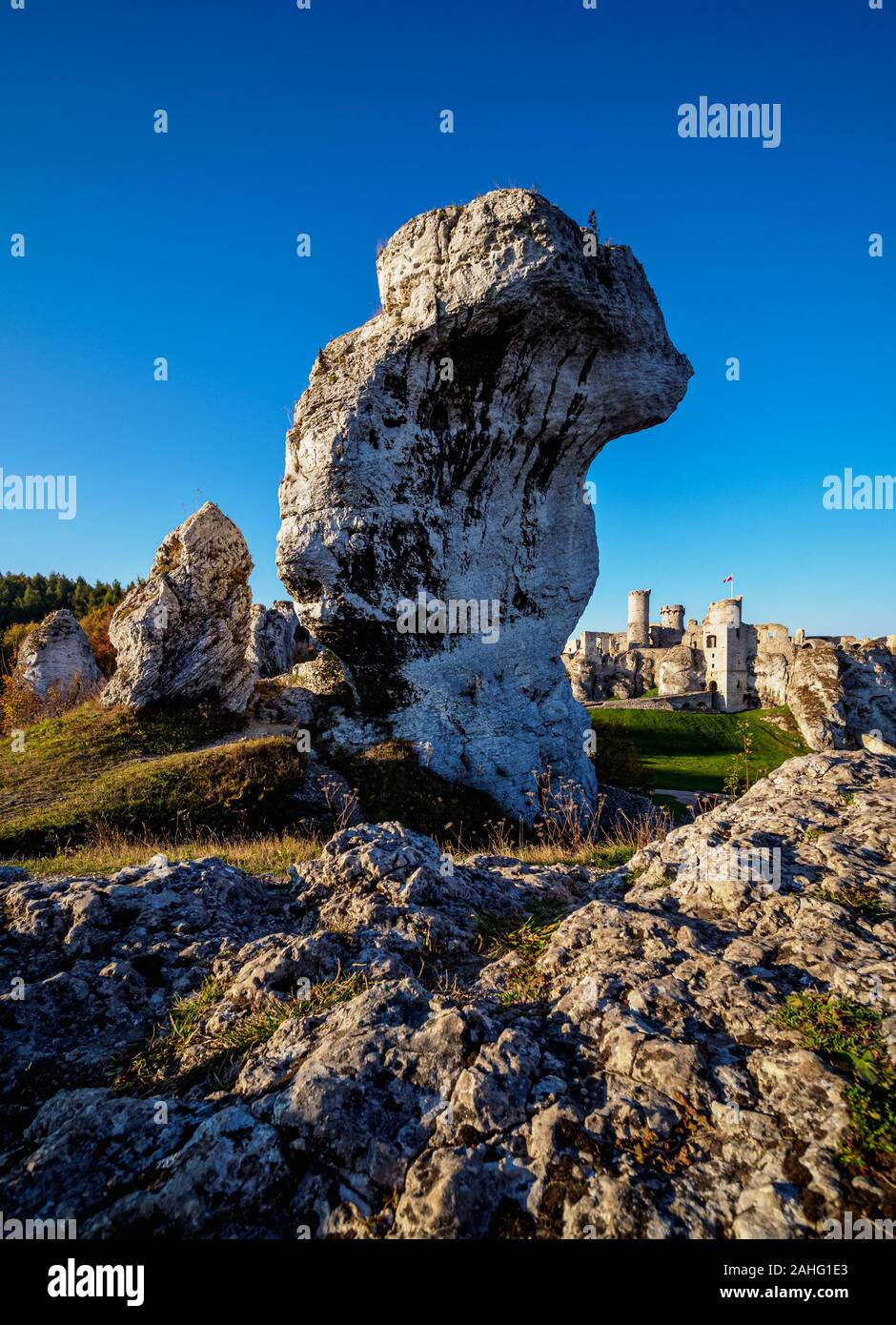 Il castello di Ogrodzieniec, Podzamcze, il sentiero delle aquile' nidi, Krakow-Czestochowa Upland o Polacco Jurassic Highland, voivodato di Slesia, Polonia Foto Stock