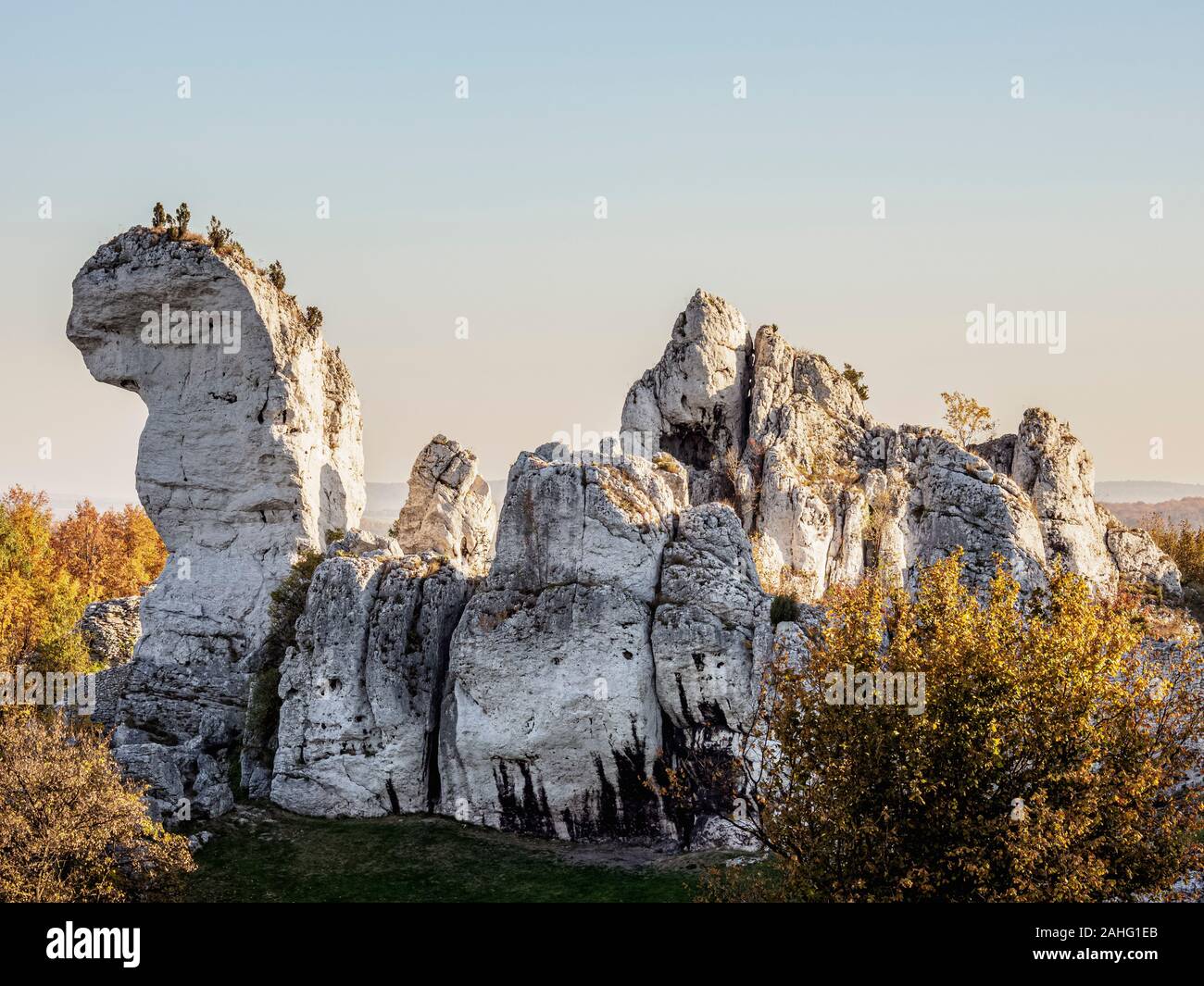 Jurassic Rocks, Podzamcze, il sentiero delle aquile' nidi, Krakow-Czestochowa Upland o Polacco Jurassic Highland, voivodato di Slesia, Polonia Foto Stock