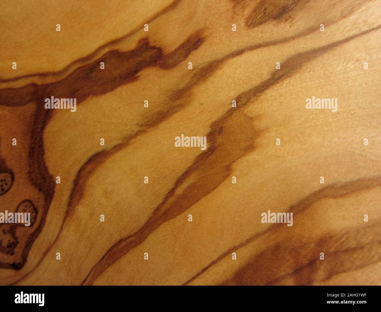 Texture da un legno d'ulivo Foto Stock