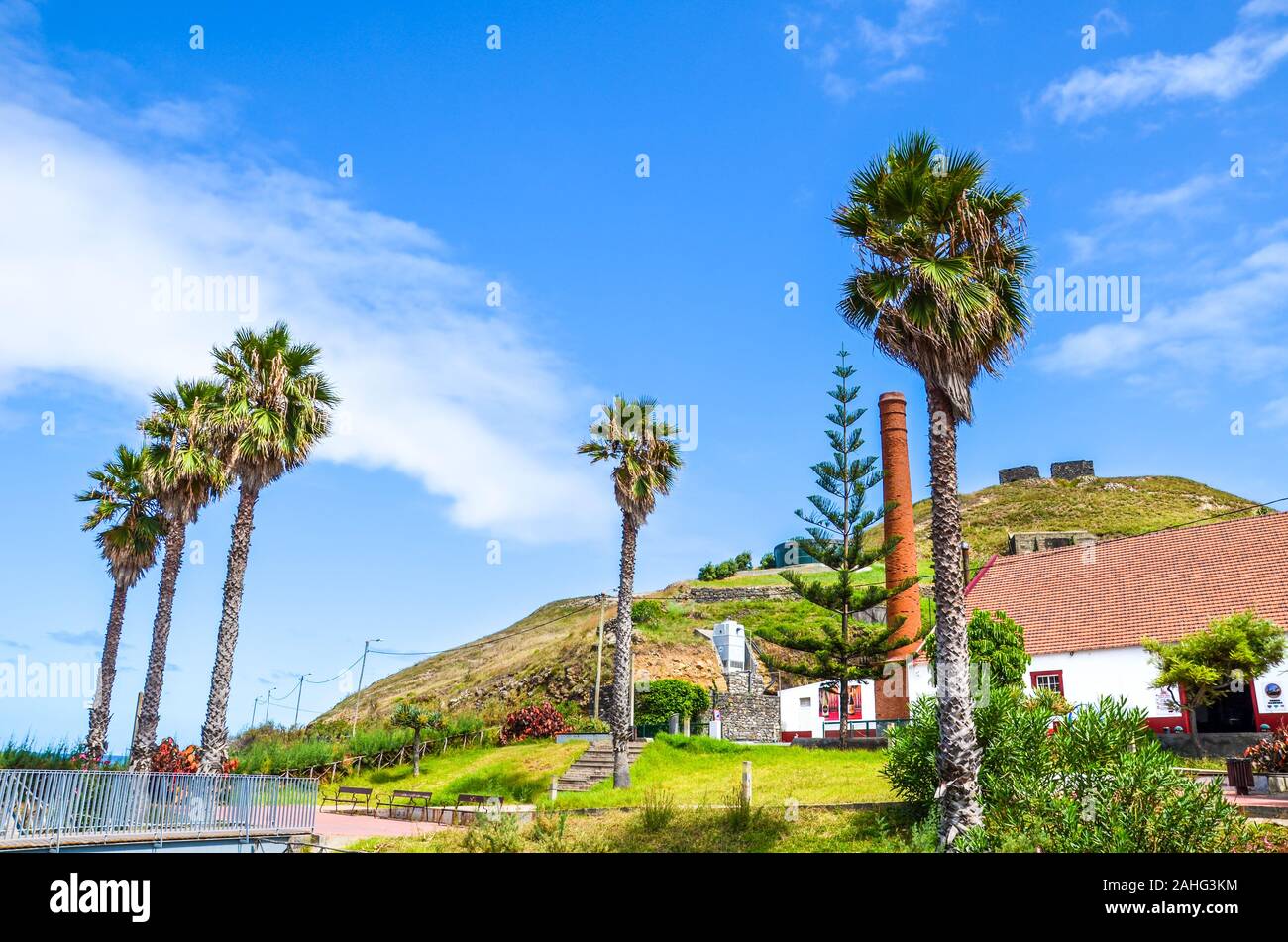 Porto da Cruz, Madeira, Portogallo - Sep 24, 2019: palme e verde collina nel villaggio Portoghese. Un edificio bianco di Casa do il rum, una fabbrica di rum e di un museo in background. Foto Stock