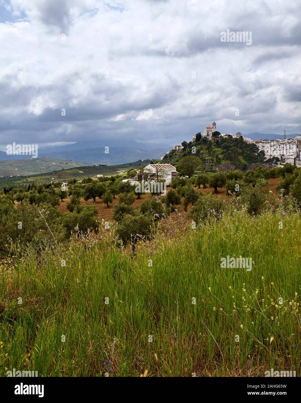 Hilltop città bianca in Andalusia, Spagna Foto Stock