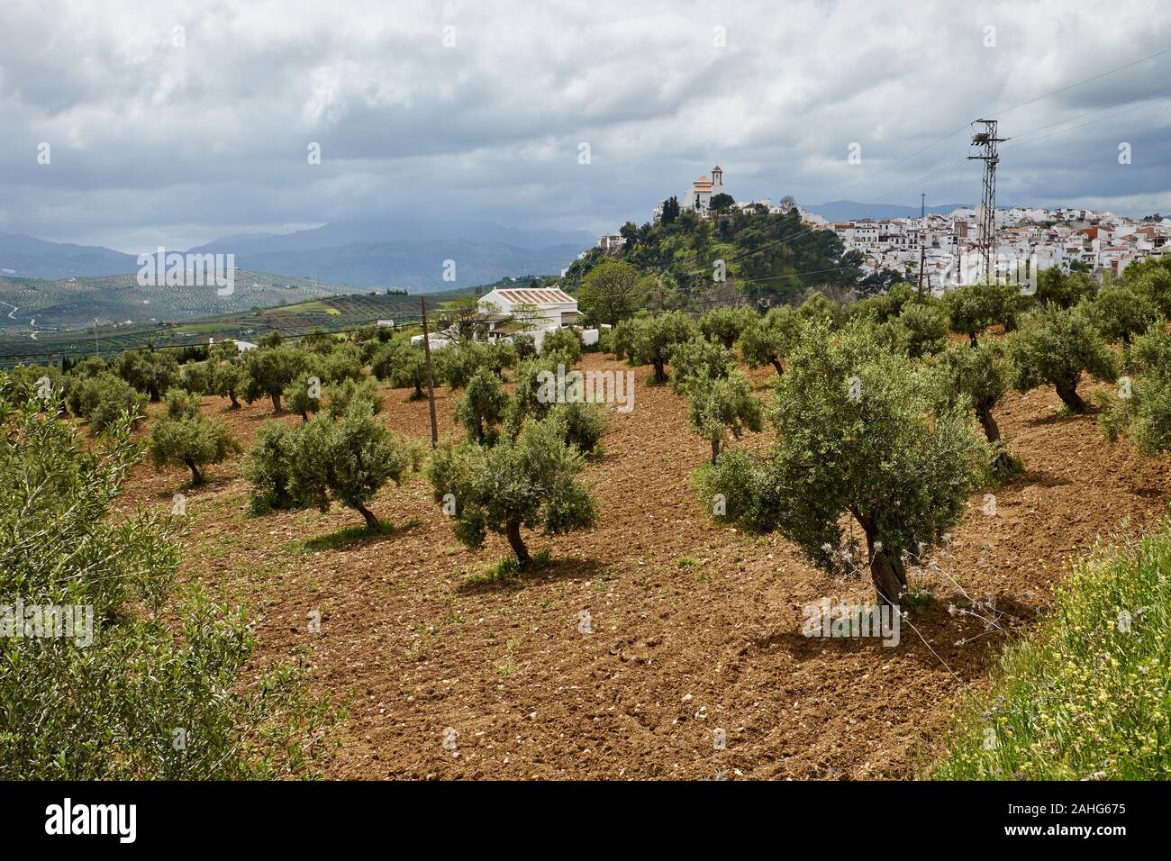 Hilltop città bianca in Andalusia, Spagna Foto Stock