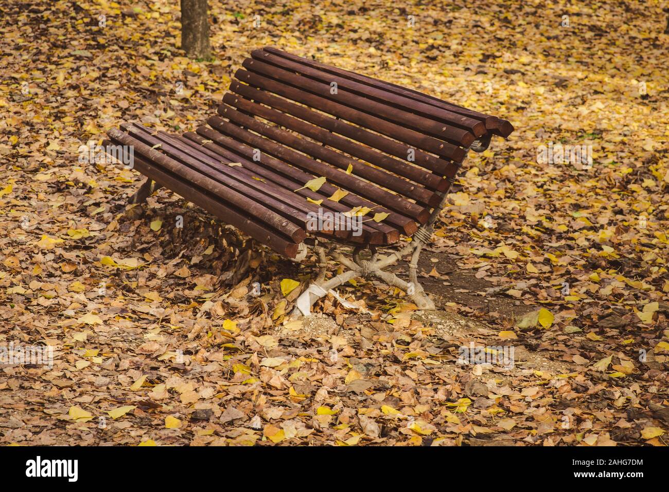 Lonely panca in legno circondato da asciugare caduta foglie in un parco silenzioso Foto Stock