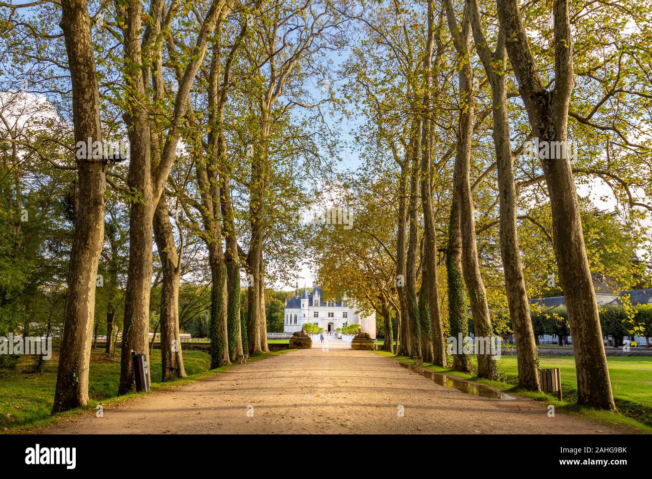 Ingresso corsia a Chateau de Chenonceau in colori autunnali, la Valle della Loira. La Francia. Foto Stock