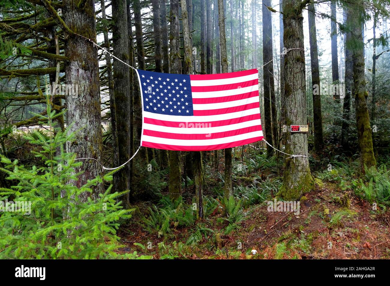 Bandiera americana nei boschi con un 'Tenere fuori' segno inviato accanto ad essa; poco accoglienti degli estranei, stranieri, gli stranieri, gli immigrati negli Stati Uniti. Foto Stock