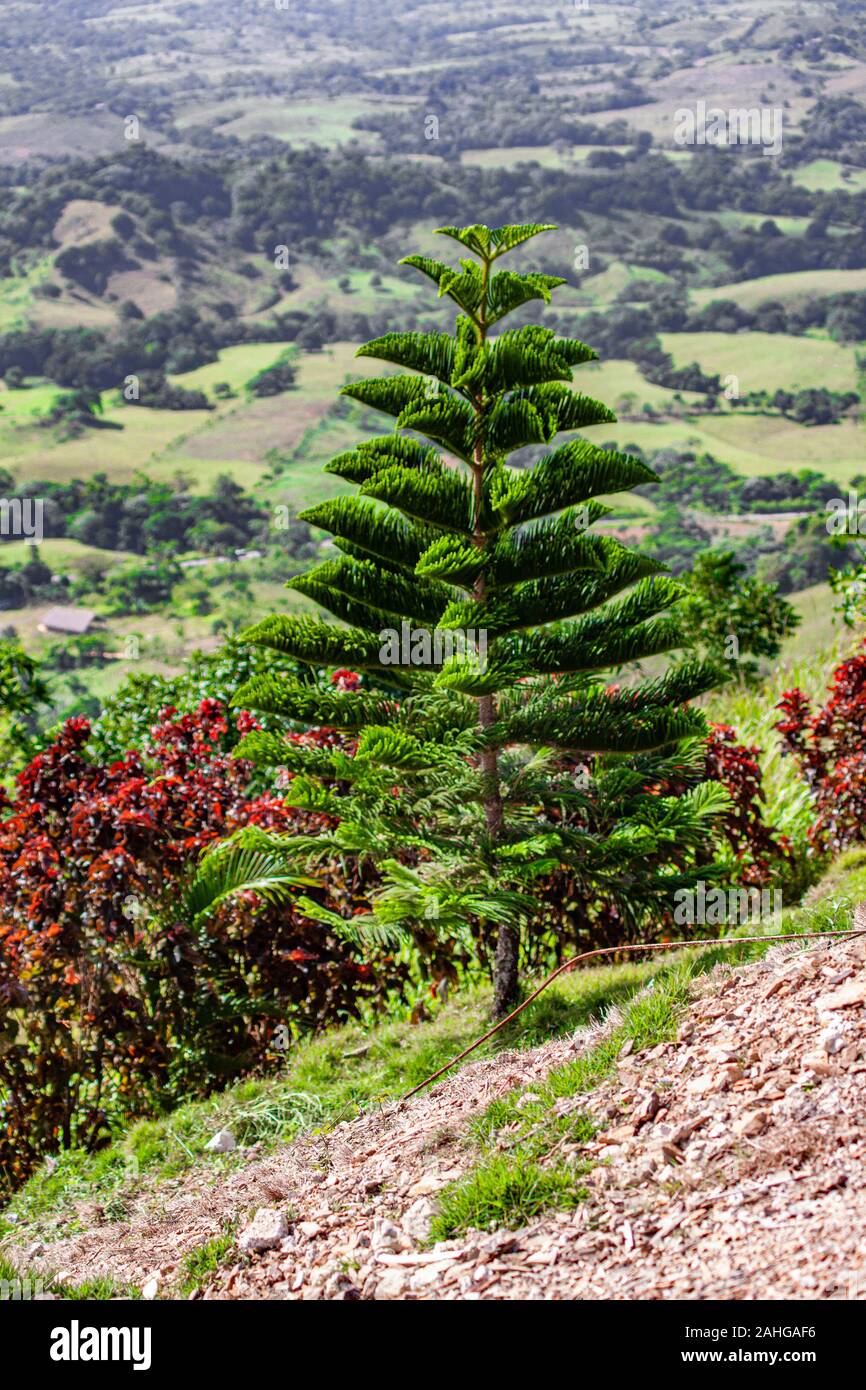 Vista di Montaña Redonda nella Repubblica Dominicana 15 Foto Stock