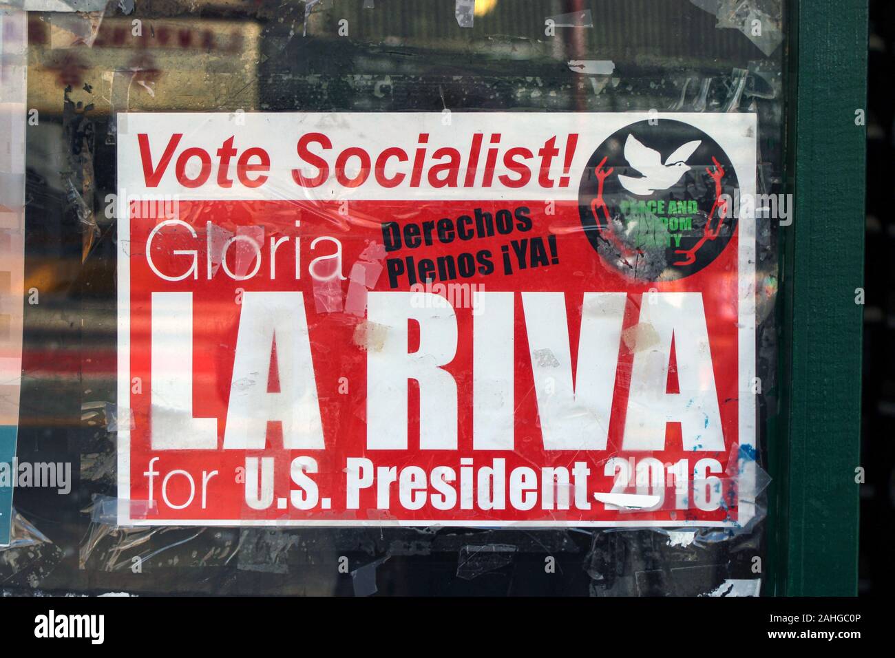 Gloria La Riva campagna elettorale presidenziale poster su una finestra del negozio nella missione del Distretto di San Francisco, Stati Uniti d'America. Foto Stock