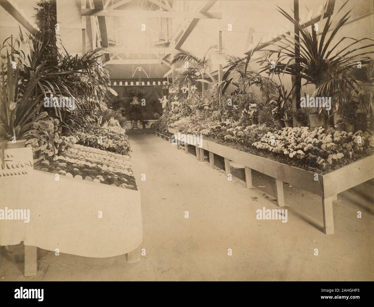 Antique c1890 fotografia, floreali presentano alla grande fiera interstatale in Elmira, New York. Fonte: fotografia originale Foto Stock