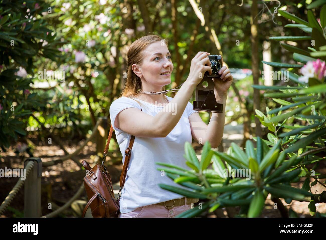 Ritratto di una bella donna con zaino in viaggio nella foresta tropicale, scattando foto con fotocamera retro. Turistico nel parco rododendro. Foto Stock