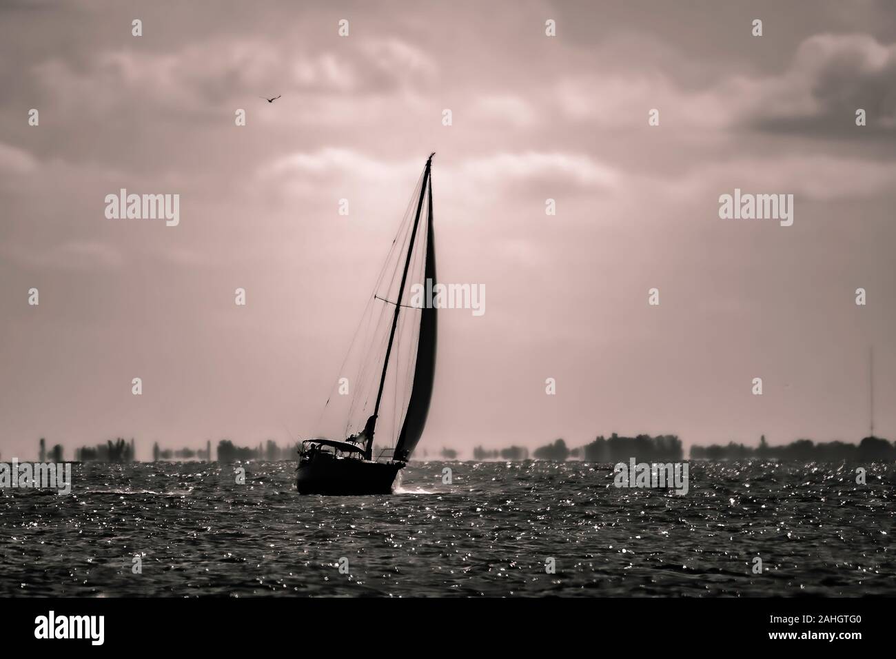 In bianco e nero di una barca a vela in Florida Foto Stock