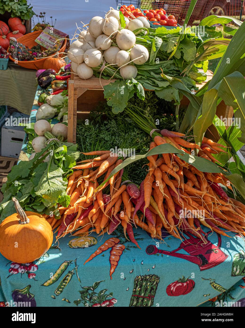 Verdure per la vendita ad una fiera di paese Foto Stock